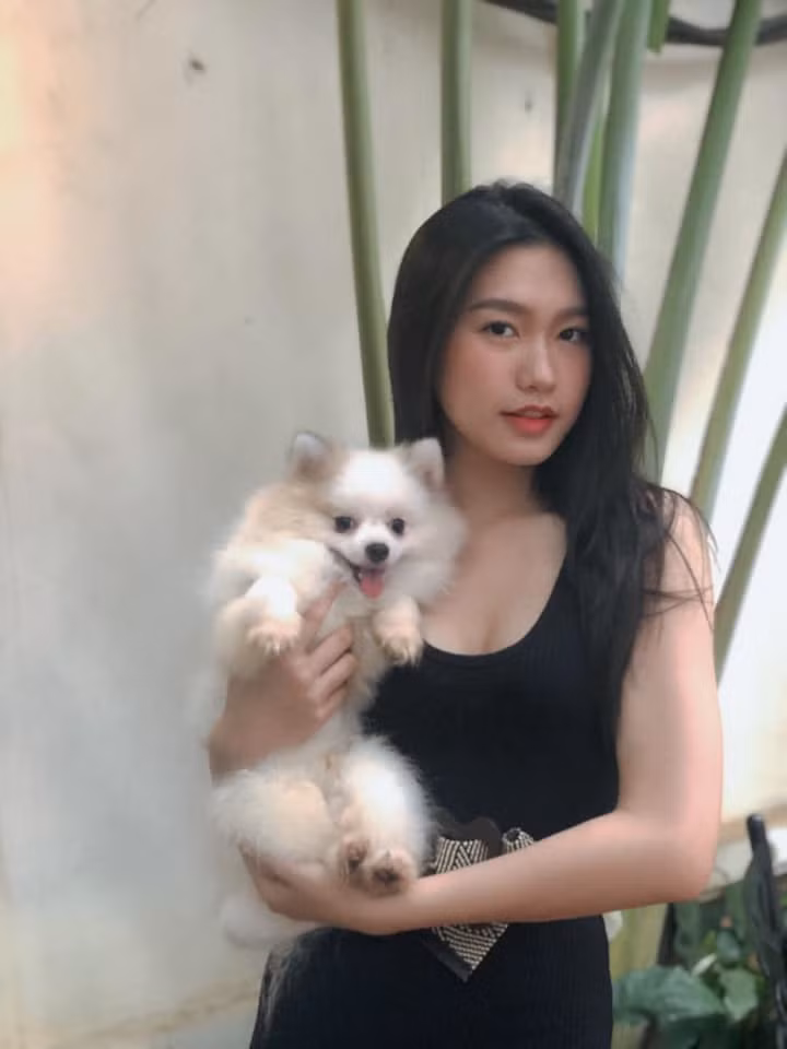 Với những thành tích học tập ấn tượng này cùng nhan sắc xinh đẹp, dáng người thon gọn hoàn hảo, Hải My được nhiều người nhận xét rằng sẽ trở thành một trong số những ứng cử viên sáng giá cho ngôi vị Hoa hậu Hoàn vũ 2020 năm nay.