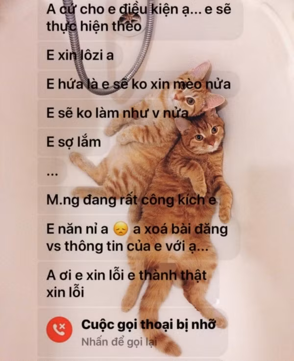 Sự việc nhanh chóng được chia sẻ trên nhiều diễn đàn, hội nhóm. Mọi người đều bức xúc vì hành động của nam thanh niên kia và bày tỏ sự thương xót cho em mèo bị bán cho lò mổ. Một số khác còn nghi ngờ không biết liệu trước đó anh chàng này đã từng làm như vậy hay không.