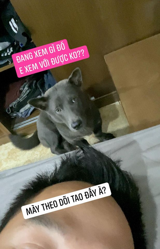 Tuy nhiên, nhiều người hâm mộ Dúi Idol nhận xét, dù vóc dáng có thay đổi ra sao thì đôi mắt lé, biểu cảm nhây nhây thích ''cà khịa'' vẫn không lẫn vào đâu được.