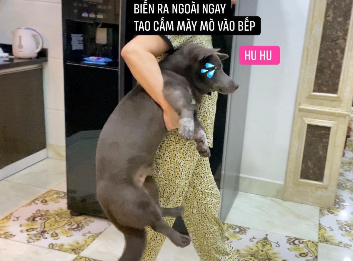 Tuy nhiên, nhiều cư dân mạng lại cho rằng đây không phải là hình ảnh của Dúi, mà là một chú chó khác. Theo như phân tích, Dúi thật có 2 vệt trắng khá rõ ở 2 chân trước trong khi bạn này thì mờ hơn.