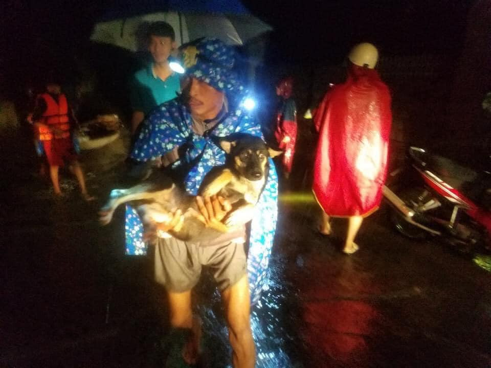 Mặc dù phải chạy lũ nhưng những người dân miền Trung vẫn không quên mang theo “người bạn“ trung thành đi cùng.
