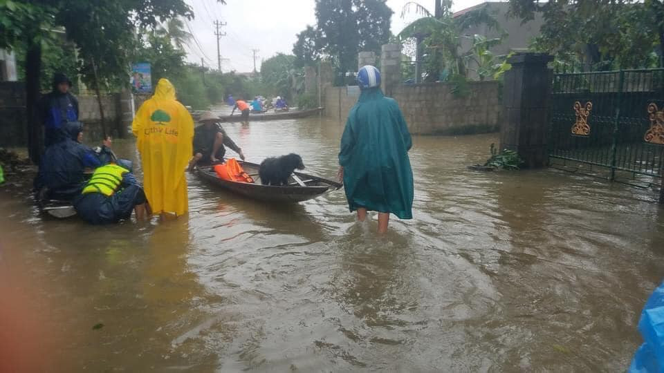 Tài sản có thể không mang đi được nhưng những người bạn trung thành thì không thể bỏ lại...