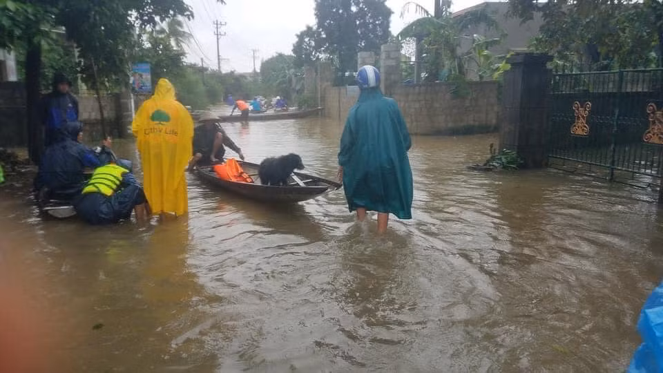 Tài sản có thể không mang đi được nhưng những người bạn trung thành thì không thể bỏ lại...