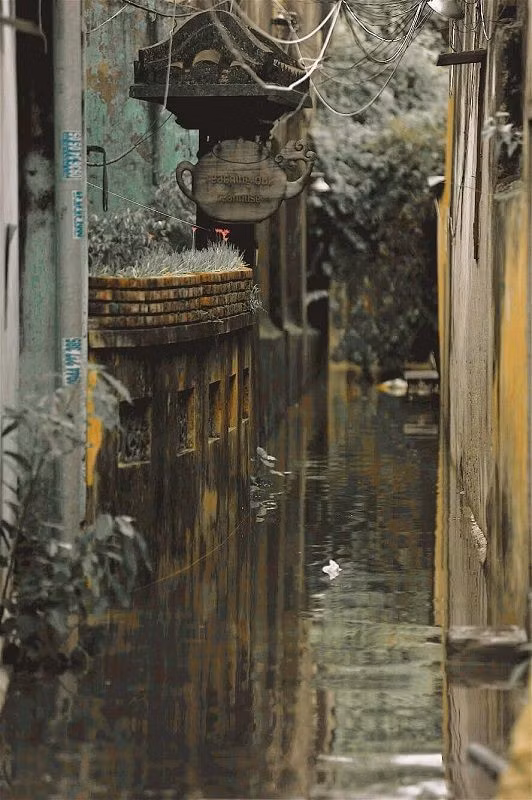 Hoi An hoa Venice, cau chuyen sieu dang yeu sau bo anh-Hinh-2