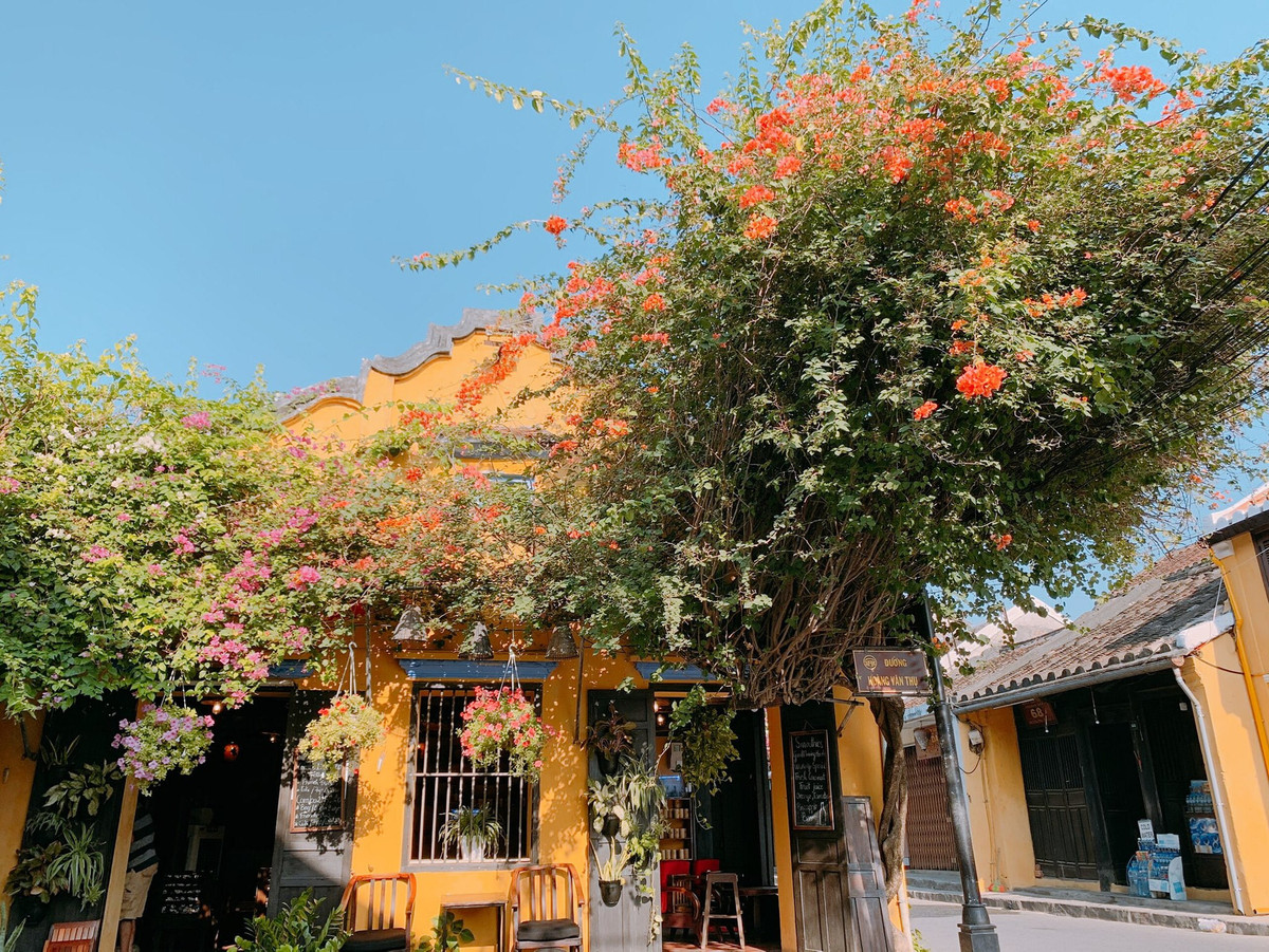 Trước đó, nơi đây hút khách bởi vẻ rực rỡ, là phông nền sống ảo đẹp, lãng mạn.