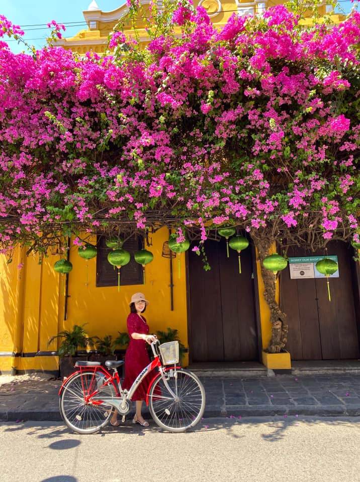 Dàn hoa giấy rợp bóng cây cũng là nơi mà du khách vẫn cảm thấy mát mẻ mỗi khi đi ngang qua đây vào trời hè nóng nực.