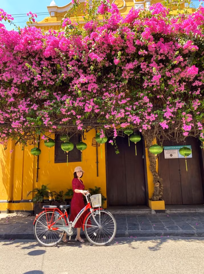 Dàn hoa giấy rợp bóng cây cũng là nơi mà du khách vẫn cảm thấy mát mẻ mỗi khi đi ngang qua đây vào trời hè nóng nực.