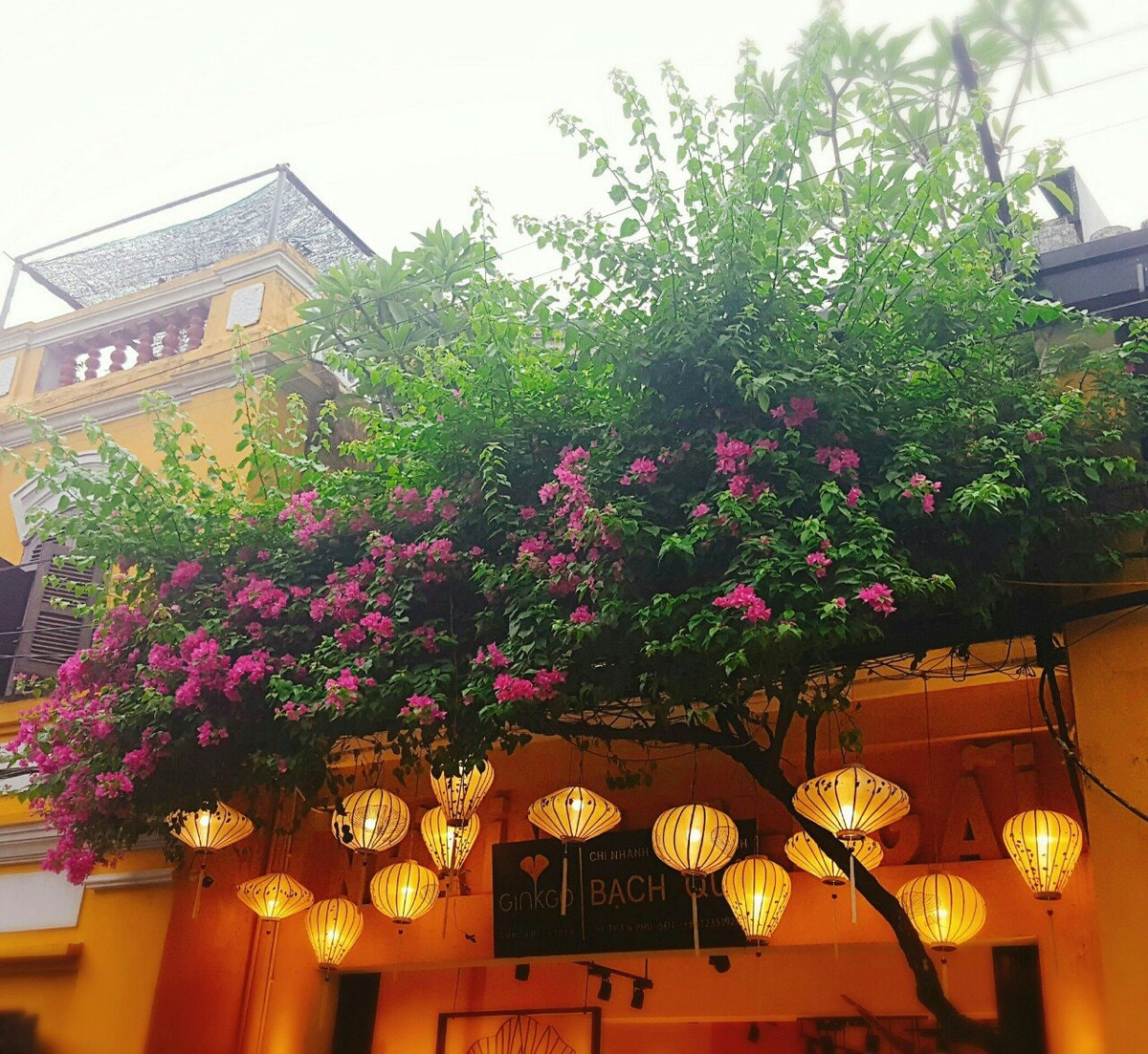 Nhờ nằm sâu trong phố cổ, buổi tối đường Nguyễn Thái Học thắp đèn lung linh, lãng mạn kèm tiếng nhạc hòa tấu phát ra từ loa làm bạn có cảm giác như được trở về ngày xưa.