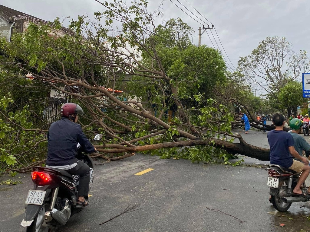 Hội An là một trong những địa phương chịu ảnh hưởng lớn. Sau 1 đêm, cơn bão này đã khiến hàng loạt cây to trên đường phố Hội An bị quật đổ.