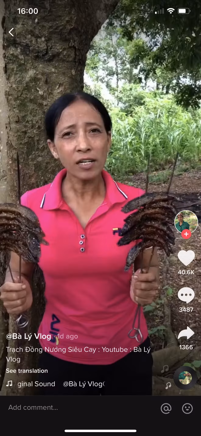 Nội dung của kênh bà Lý là thực hiện những món ăn theo phong cách dân dã. Thậm chí người phụ nữ này còn chẳng làm những món siêu to khổng lồ như một vài kênh khác.