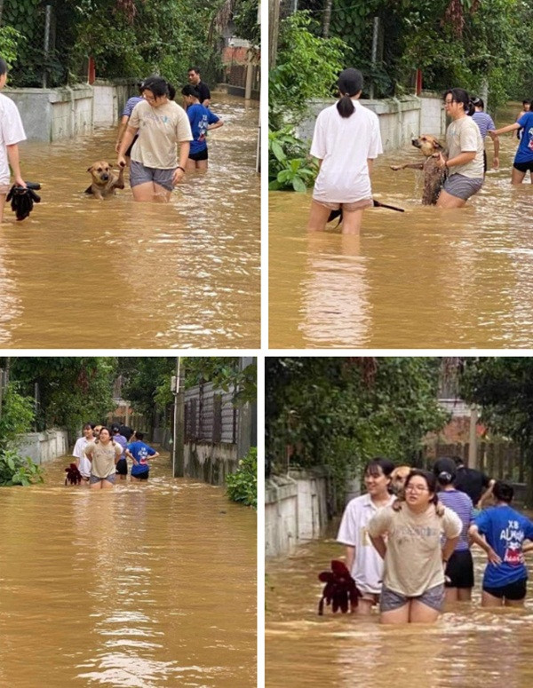 Bức hình cô bé cõng chó cưng lội qua biển nước dưới đây đã khiến cư dân mạng phải phì cười. Chỉ vì mải mê hóng hớt, đến mức trốn nhà đi chơi mà khiến cho "sen" phải vất vả lặn lội đi tìm, thậm chí còn cõng cả trên lưng mới đưa về nhà được.