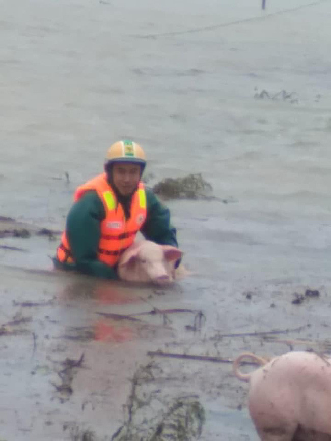 Người dân cố gắng bảo vệ tài sản, tránh tổn thất nặng nề nhất.