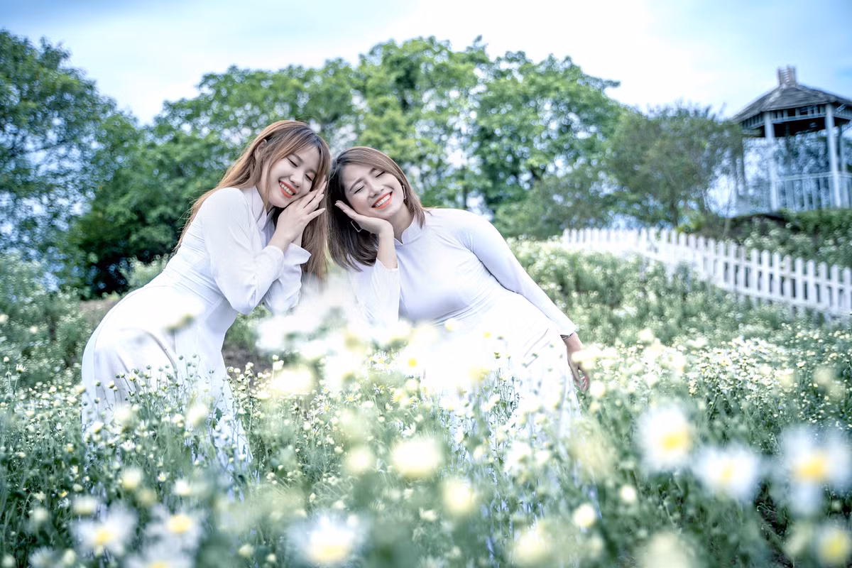 Các thiếu nữ rục rịch rủ nhau tới khi lại hình ảnh bên những bông hoa cúc hoạ mi trắng tinh khôi.