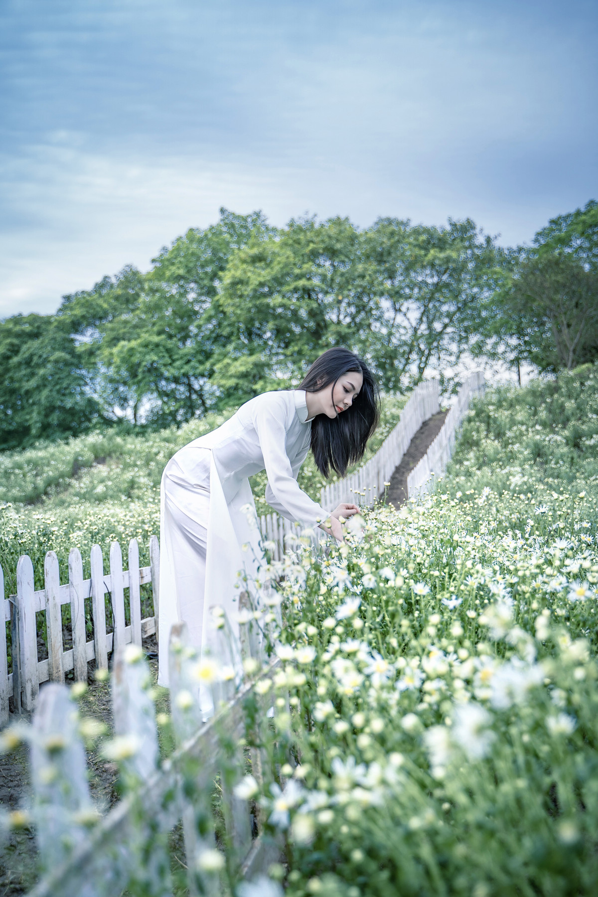Hà Nội mùa nào cũng có hoa đẹp, tháng nào cũng có loại hoa đặc trưng, không phải tự nhiên mà Hà Nội lại có 12 mùa hoa.