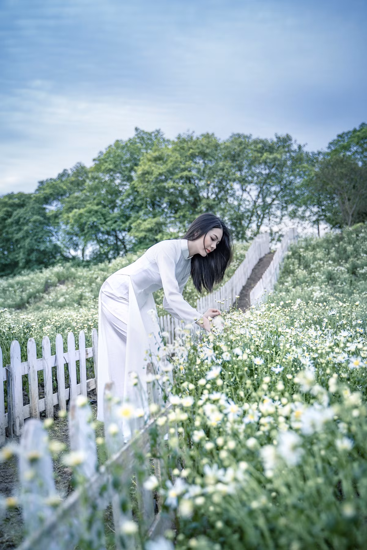 Hà Nội mùa nào cũng có hoa đẹp, tháng nào cũng có loại hoa đặc trưng, không phải tự nhiên mà Hà Nội lại có 12 mùa hoa.