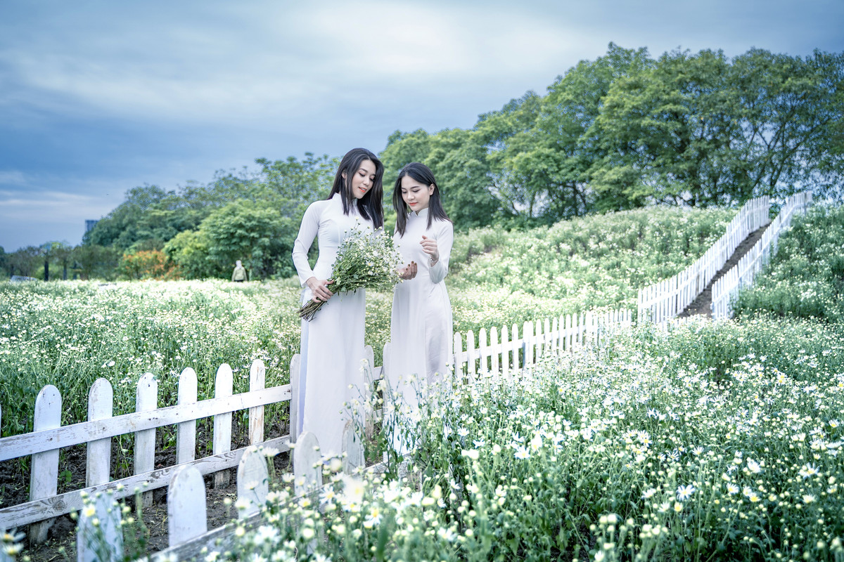 Mỗi năm chỉ có 1 mùa cúc họa mi, thời gian hoa nở lại rất ngắn nên mọi người háo hức, nhất là các bạn trẻ tranh thủ lên ý tưởng và tìm đến vườn cúc hoạ mi để chụp cho mình những bộ ảnh đẹp làm kỷ niệm.