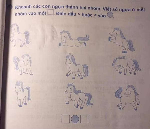 Trong một hội nhóm phụ huynh có con học lớp 1 các bà mẹ đã từng tranh cãi với bài toán khó có 9 chú ngựa khác nhau và yêu cầu học sinh phải phân loại thành hai nhóm. Điều khiến nhiều người hoang mang chính là đề bài không đưa ra tiêu chí của mỗi nhóm ngựa.