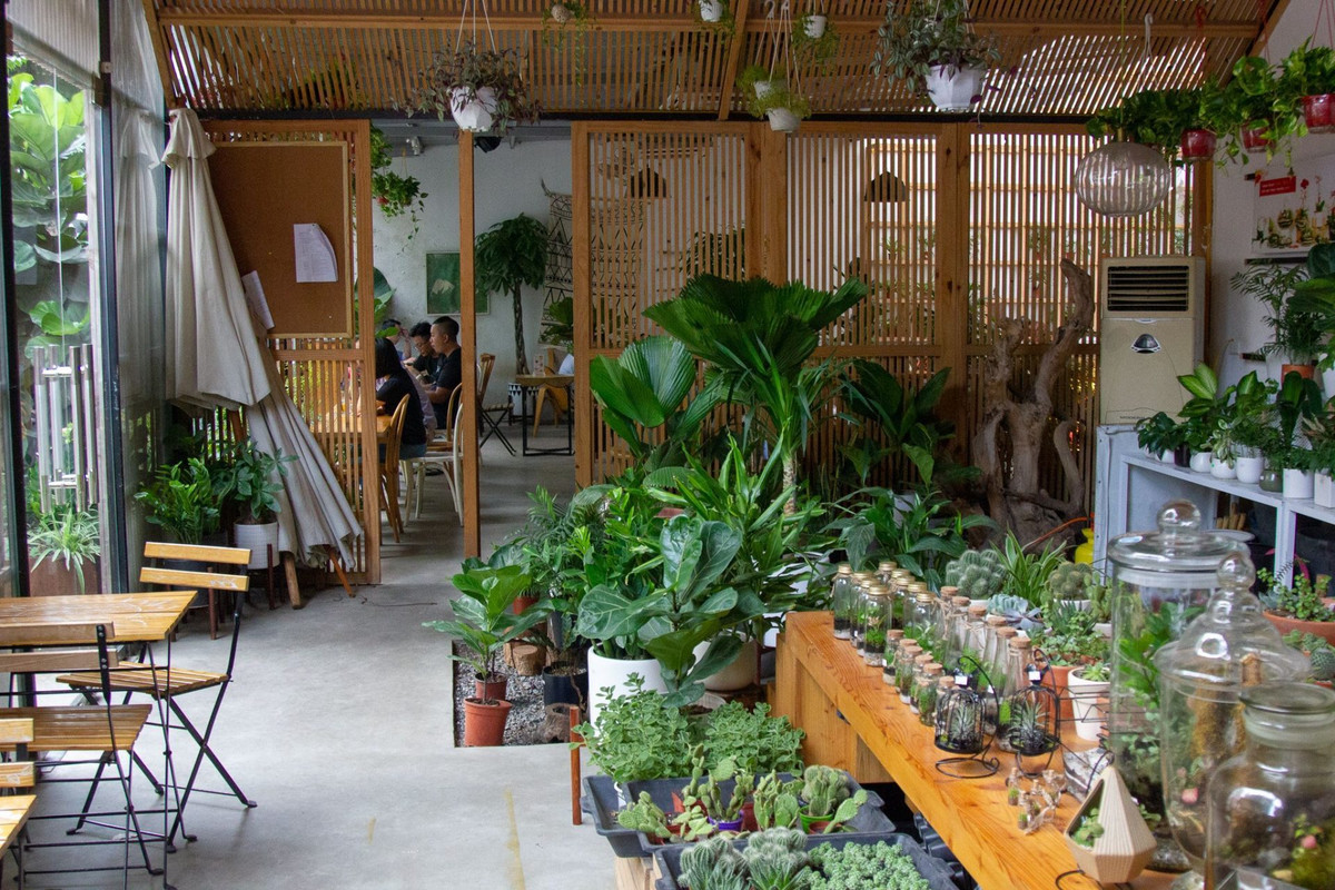 Một quán cafe phù hợp dành cho cuối tuần nữa ở Hà Nội là Tropical Forest Coffee, đây là điểm đến khiến bạn ngỡ như đang lạc trong khu rừng nhiệt đới nhỏ giữa Thủ đô.