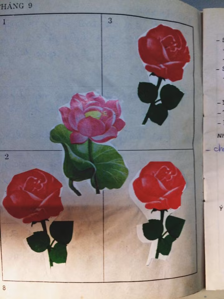 Đứa trẻ nào ngày đấy cũng luôn nơm nớp lo sợ sổ học bạ sẽ đến tay bố mẹ mình. Ngược lại, học sinh nào chăm ngoan sẽ được thưởng rất nhiều bông hoa.