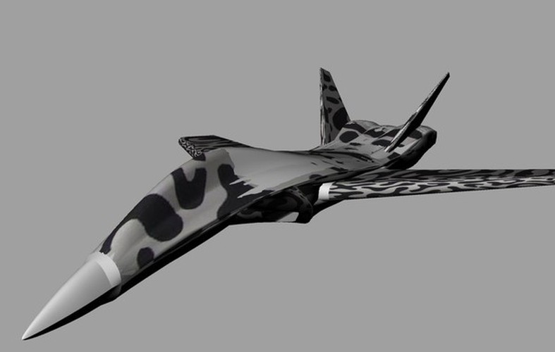 Mỗi nhà phát triển đều có ý tưởng riêng liên quan đến việc tạo ra chiếc tiêm kích thế hệ thứ 6, nhưng sẽ được hợp nhất thành dự án duy nhất, có khả năng cung cấp một phương tiện chiến đấu mạnh mẽ và độc đáo.