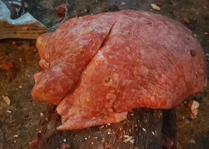 Số thịt động vật chế biến tại cơ sở của ông tuấn không rõ nguồn gốc xuất xứ.