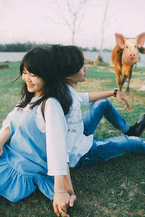 Không còn mặt con bò, thay bằng mặt lợn được không?