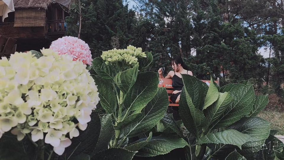 H.Trang cho biết: "Nhận được ảnh đã chỉnh sửa mà mình cảm thấy "sa mạc lời" luôn. Dù vui nhưng cũng thấy hơi khó chịu trước một số bình luận không hay. Tuy vậy, mình cũng không quan tâm lắm!". Ảnh: FBNV.