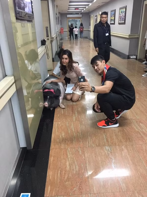 Không chỉ nổi tiếng trên mạng, Junior và cậu chủ của mình mới đây còn được mời đến ghi hình tại Đài Phát thanh và Truyền hình Quân đội Hoàng gia Thái Lan hay còn được biết đến với tên Channel 5. Ảnh: Facebook.