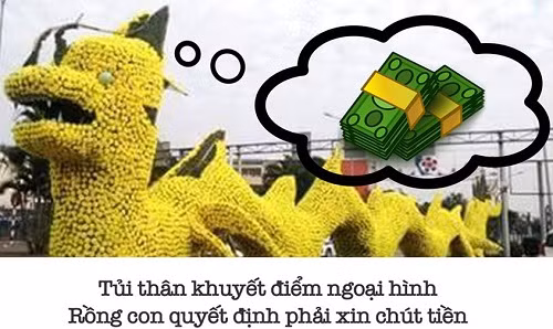 Cuoi nga nghieng voi tho, anh che ve con rong Hai Phong-Hinh-6