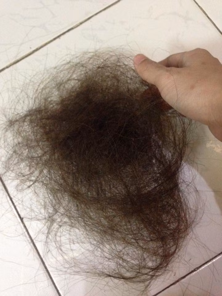 "Mùng 4 Tết: Công việc đều đặn hàng ngày sau khi chải đầu là dọn tóc... Em chuẩn bị thanh lý lược. Xót xa cất giọng ca... 'Về đâu mái tóc người thương'", dòng nhật ký toát lên sự quan của cô giáo Hà Nội.