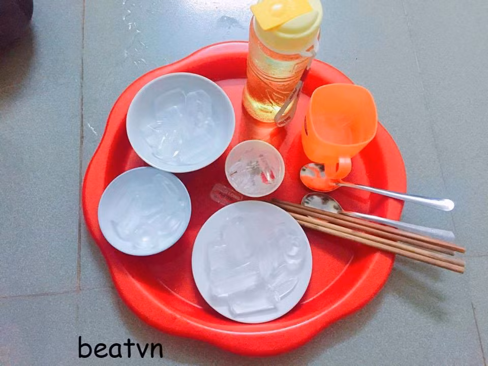 Giữa cái nắng nóng khốc liệt, một bữa ăn "mát mẻ" như thế này cũng được cho là thịnh soạn lắm rồi! Ảnh: FB Rùa Bo Bae.