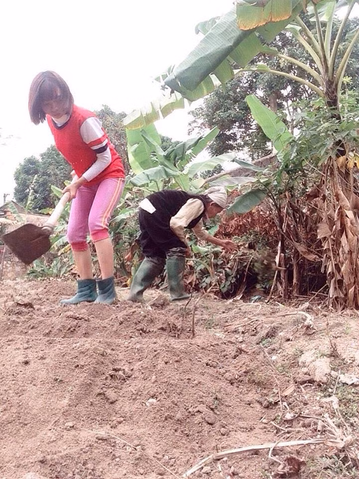 Giờ đã là một sinh viên học đại học xa nhà, không còn được ở bên bà mỗi ngày, đưa bà đi mua thuốc mỗi khi bà ốm, nhưng Phượng vẫn luôn tự động viên mình phải cố gắng để bà yên lòng. Ngoài tập trung cho việc học, Phượng còn đi dạy gia sư để kiếm thêm tiền trang trải cho sinh hoạt hằng ngày, mặc dù vậy thi thoảng cô bạn vẫn phải xin bà thêm.