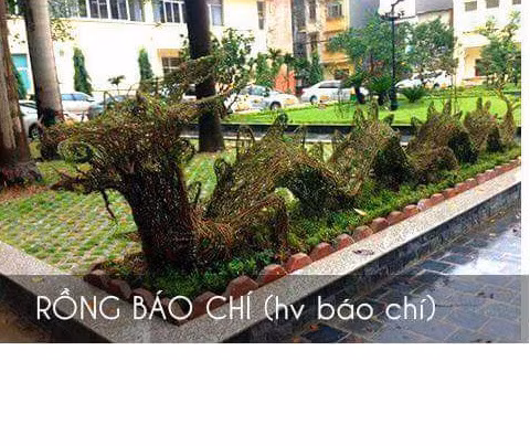 Mô hình rồng báo chí. Ảnh: FB Nguyễn Nhất Huy.