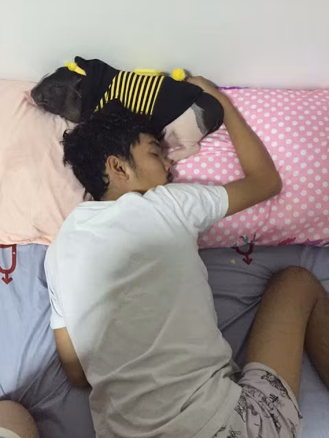 Loạt ảnh của chàng trai người Thái Lan và em thú cưng đáng yêu này ban đầu được đăng tải trên một trang Fanpage Facebook có tên @Pigjuniorr. Trang Fanpage có gần 70.000 người "like" này cũng được cho là thuộc quyền sở hữu của chàng trai này.