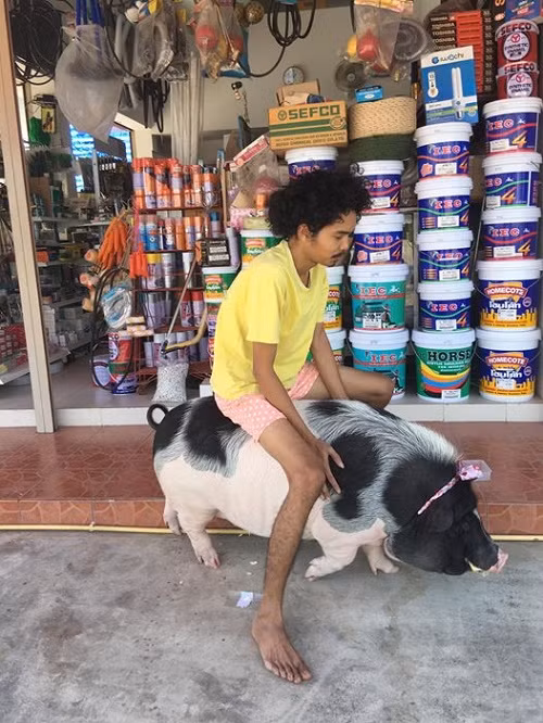 Cả hai luôn bên nhau không rời nửa bước.