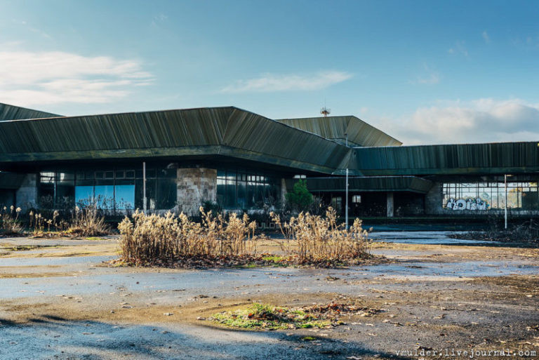 Đám cỏ dại mọc phía ngoài dẫn tới chỗ đỗ máy bay.