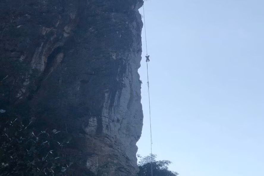  Leo lên núi đá lấy mật ong, người đàn ông tử vong: Ngày 2/5, ông Ng.V.TH (SN 1989 ở bản Thải, xã Mường Thải, huyện Phù Yên, tỉnh Sơn La) trong quá trình đi lấy mật ong, bị ong đốt, treo lơ lửng trên không nhiều giờ. Ngày 3/5, Công an tỉnh Sơn La cho biết khi đưa nạn nhân xuống đất, tình trạng tử vong, vùng mặt bị thâm tím, phồng rộp do bị ong đốt, chảy máu ở vùng mũi và miệng. 