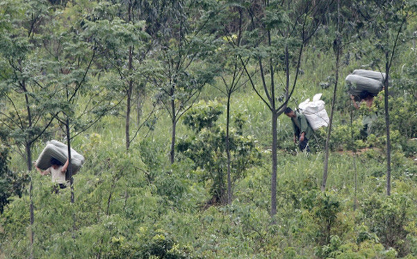  Đưa người Trung Quốc vượt biên vào Việt Nam giá 250.000 đồng: Hoàng Thị Thơm và Đinh Thị Từ (cùng trú tại Lộc Bình, Lạng Sơn) đã nhận lời đưa nhóm người Trung Quốc vượt biên trái phép với thù lao 250.000 đồng/người. Đầu tháng 7/2020, cả hai bàn bạc rồi đi đến thống nhất kế hoạch đưa, dẫn người qua biên giới. Tuy nhiên, khi nhóm người này gặp nhau ở mốc biên giới thì bị Bộ đội Biên phòng tỉnh Lạng Sơn bắt giữ.