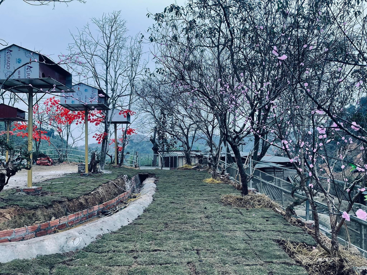 Cong trinh “khung” moc tren dat lam nghiep tai Bac Kan: Chinh quyen dia phuong lam ngo?-Hinh-5