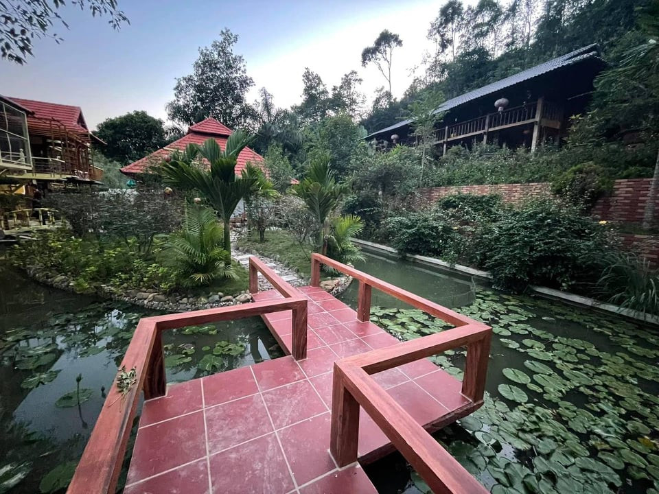 Cong trinh “khung” moc tren dat lam nghiep tai Bac Kan: Chinh quyen dia phuong lam ngo?-Hinh-2