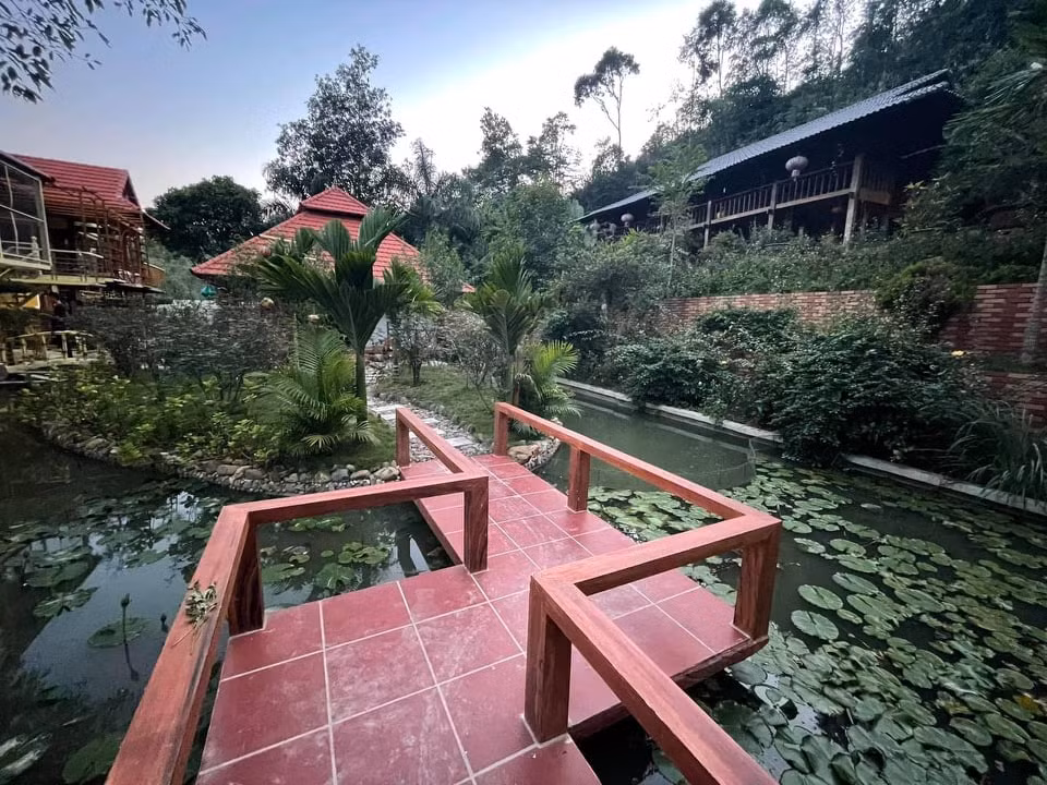 Cong trinh “khung” moc tren dat lam nghiep tai Bac Kan: Chinh quyen dia phuong lam ngo?-Hinh-2