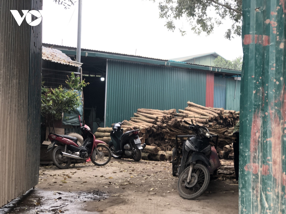 Các nhà xưởng làm các ngành nghề chế biến gỗ, cơ khí, nội thất và kinh doanh giàn giáo, cốp pha sắt phục vụ xây dựng.