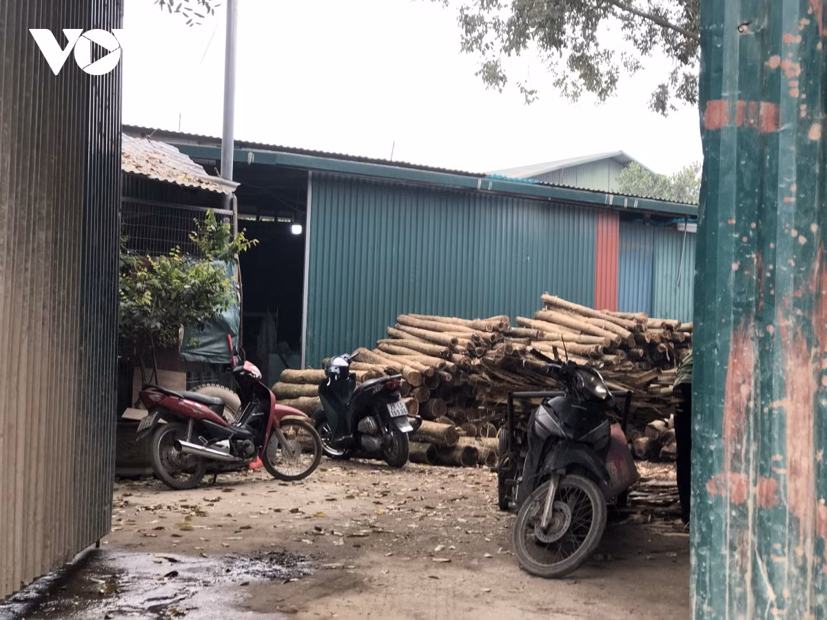 Các nhà xưởng làm các ngành nghề chế biến gỗ, cơ khí, nội thất và kinh doanh giàn giáo, cốp pha sắt phục vụ xây dựng.