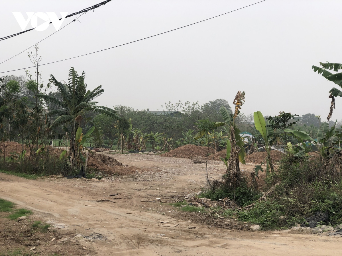 Một khu đất nuôi tôm đan được đổ đất cao để lấy mặt bằng.