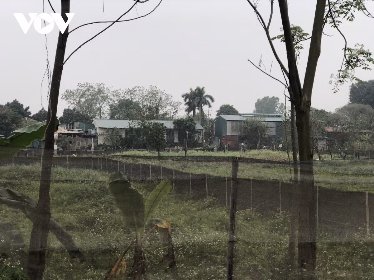 Người dân tự hợp đồng mua bán, chuyển nhượng, thuê và cho thuê nhà xưởng trên đất công.