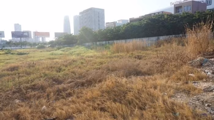 Bị bỏ hoang nhiều năm nên khu vực này chủ yếu để cỏ dại đua nhau mọc lên. (Ảnh: VietnamFinace).