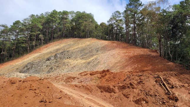 Qua kiểm tra thực tế diện tích rừng bị phá thuộc một phần các tiểu khu 22, 26 với gần 5 ha bị tác động thì diện tích trong ranh giới được giao là 2,23 ha, ngoài ranh giới là 2,73 ha. (Ảnh: Tiền Phong).