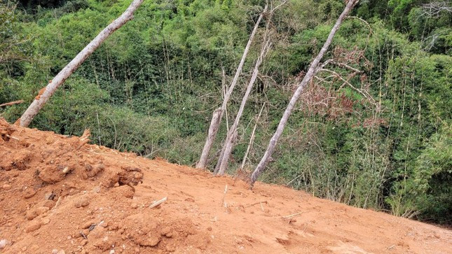 Kết quả cho thấy, quá trình thi công đã gây thiệt hại đến rừng vượt mức xử phạt vi phạm hành chính, có dấu hiệu của tội huỷ hoại rừng. (Ảnh: Tiền Phong).