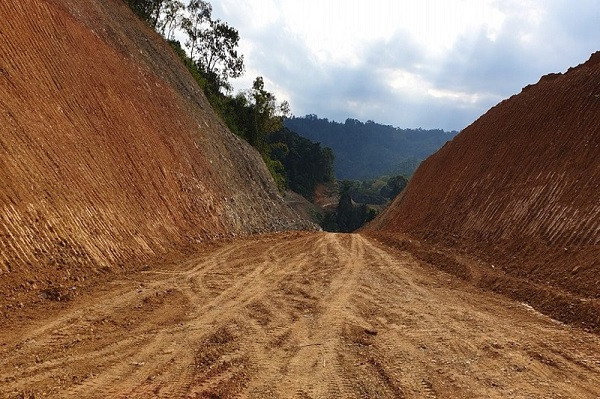 Diện tích bị san ủi là rừng lá rộng thường xanh nghèo, rừng hỗn giao gỗ - lồ ô… với tổng trữ lượng gỗ hơn 502m3 và 25.272 cây lồ ô. (Ảnh: PLO).