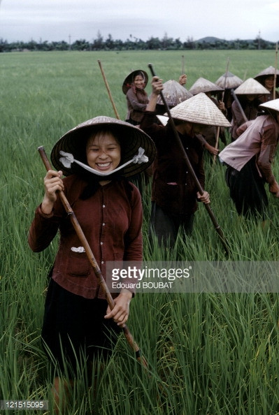 Những người phụ nữ trên cánh đồng ở miền Bắc Việt Nam năm 1963. Ảnh: Edouard Boubat - GettyImages.